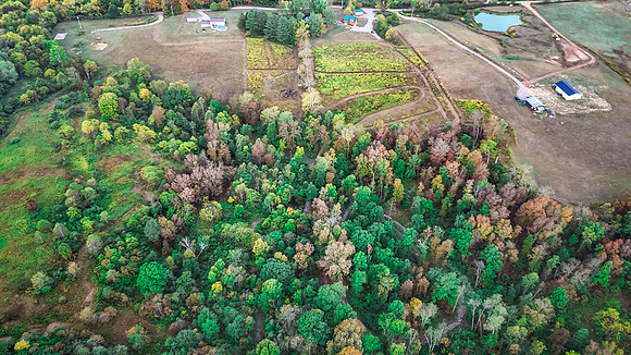 DJI_20240918080418_0040_D