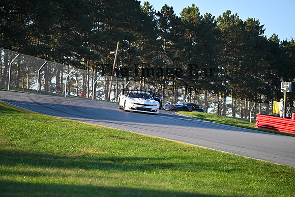 DSC_1877