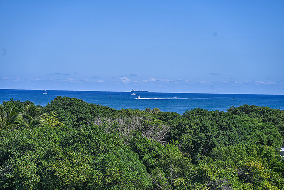 DSC_8833
