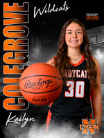 NU_BBall_Colegrove