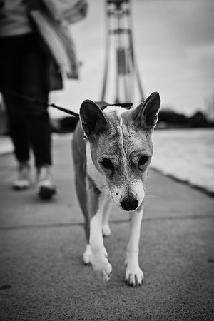 DSC_9064