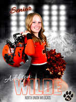 Cheer_Wilde