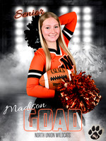 Cheer_Goad
