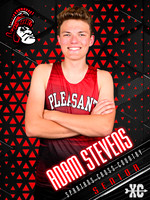 CC_PHS_v1_Stevens