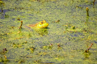 DSC_9404