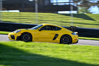 DSC_5369