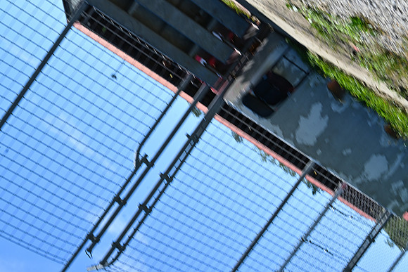 DSC_1520