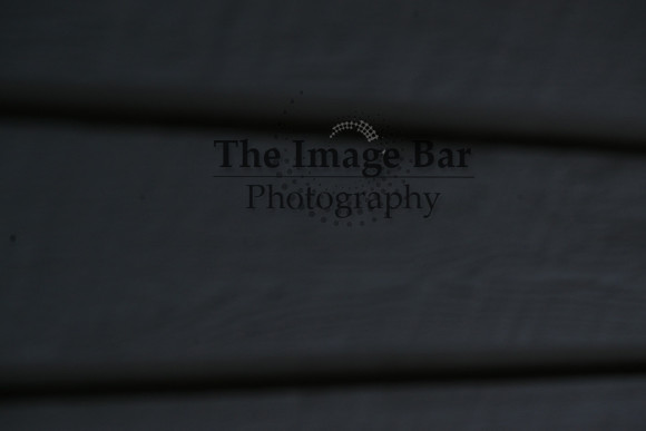 DSC_1490