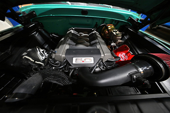 tib_DSC_4123