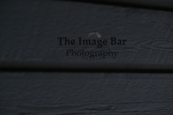 DSC_1491