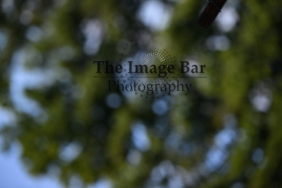 DSC_6805