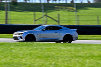 DSC_1554