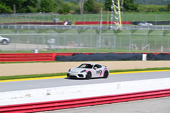 DSC_2018