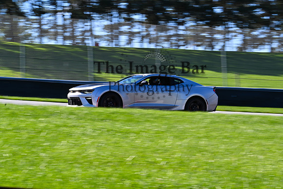 DSC_1784