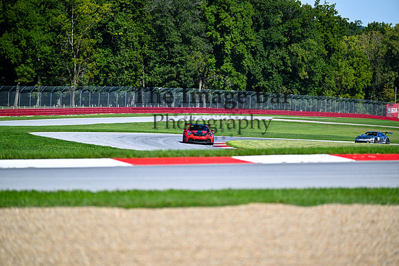 DSC_6450