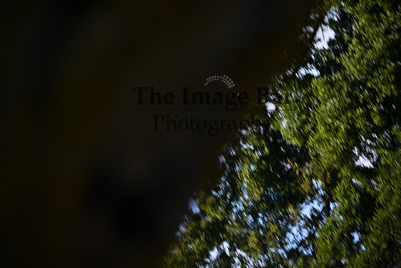 DSC_6806