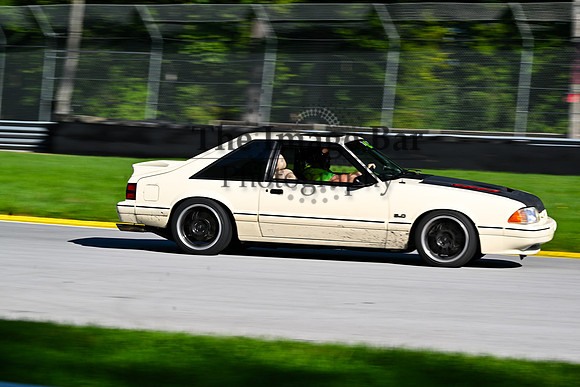 DSC_3856