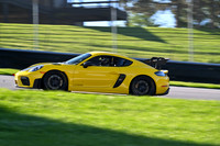 DSC_5368