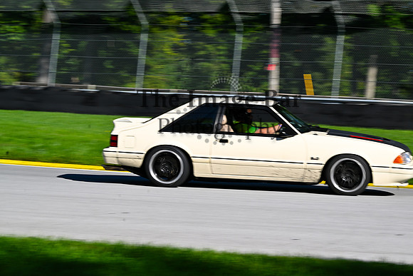 DSC_3857