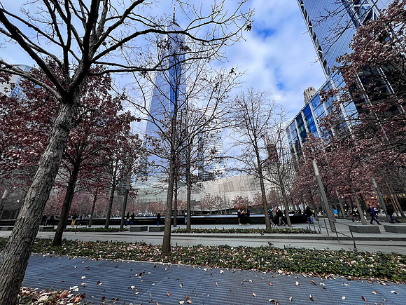 20231206_183056821_iOS
