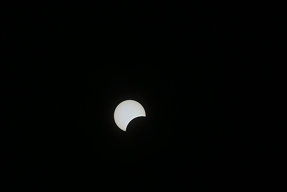 DSC_1085