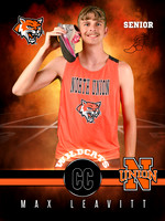 NUHS_CC_Leavitt
