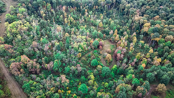 DJI_20240918080409_0038_D