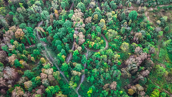 DJI_20240918080244_0030_D